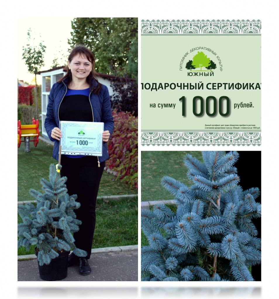 Конкурс РЕПОСТ.jpg Конкурс Репост.jpg